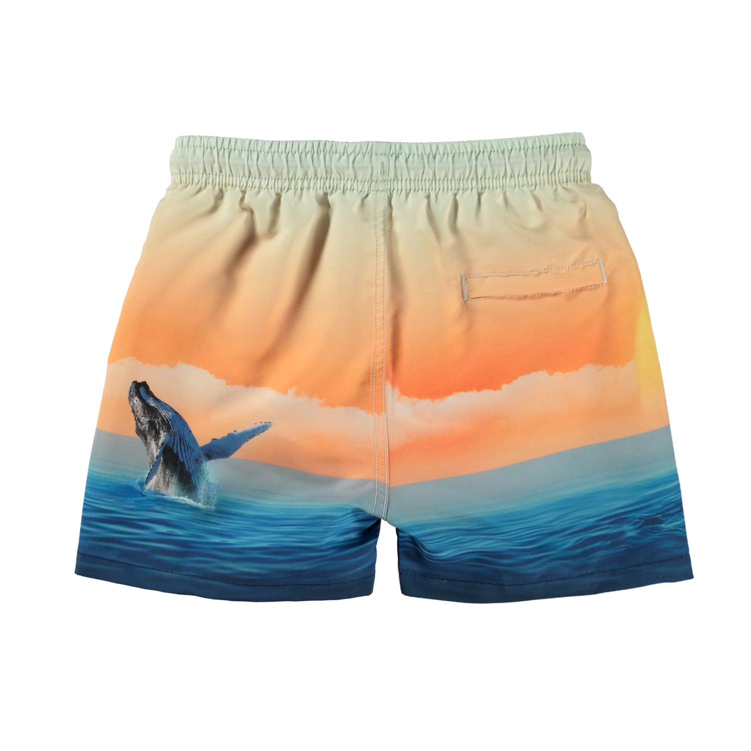 Molo - Niko swim shorts