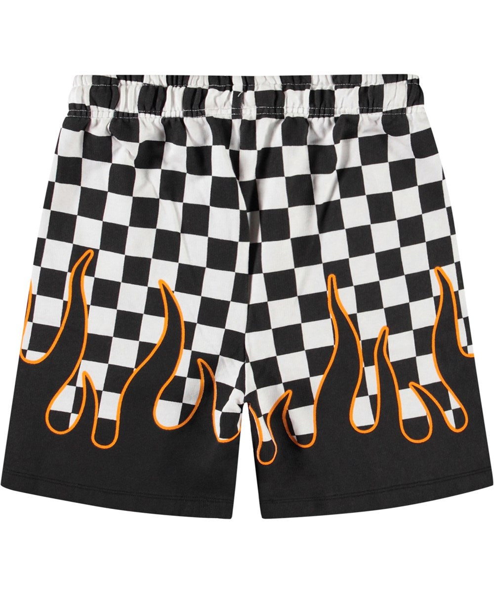 Molo - Short Amil