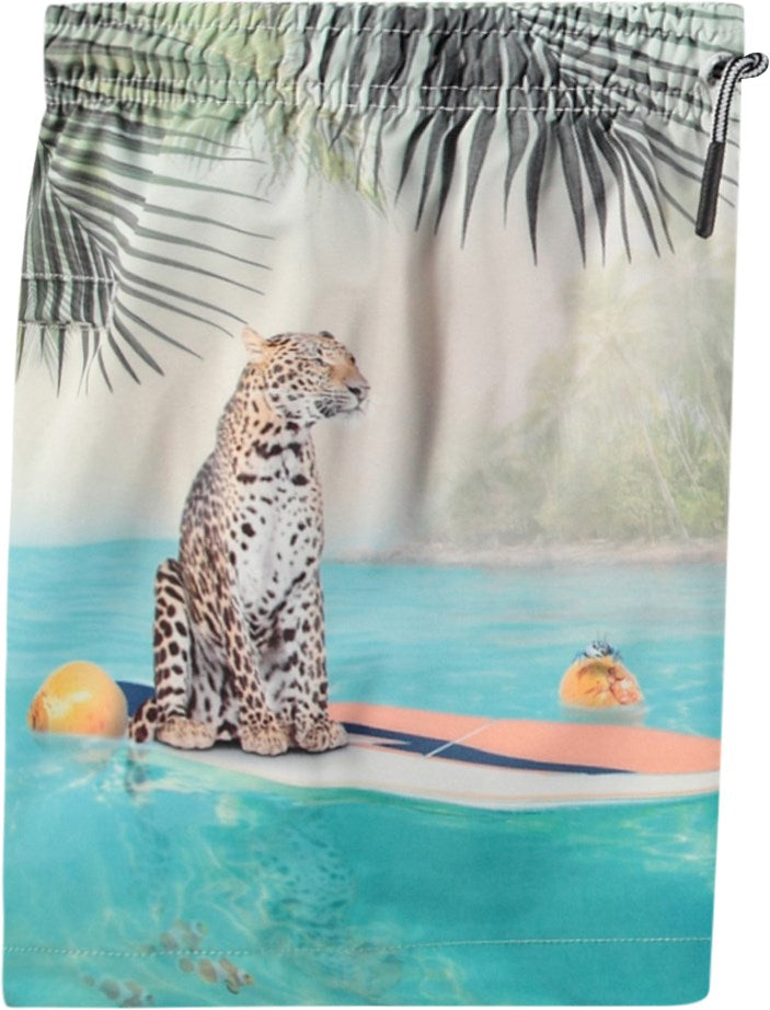 Molo - Short de bain Niko