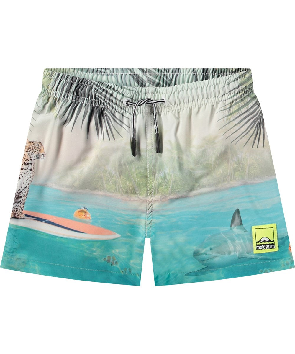 Molo - Short de bain Niko