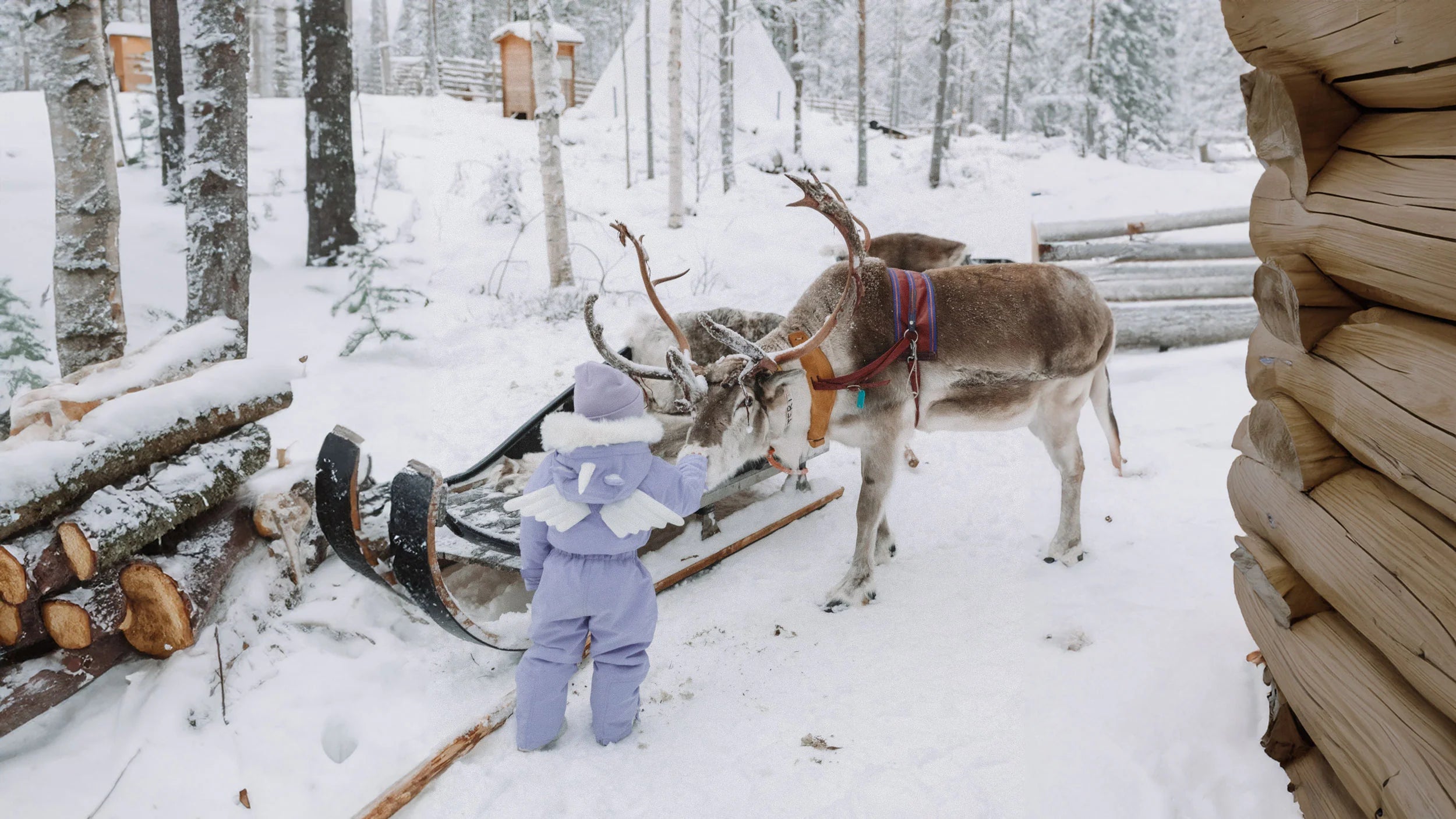 Roarsome - Ensemble de ski