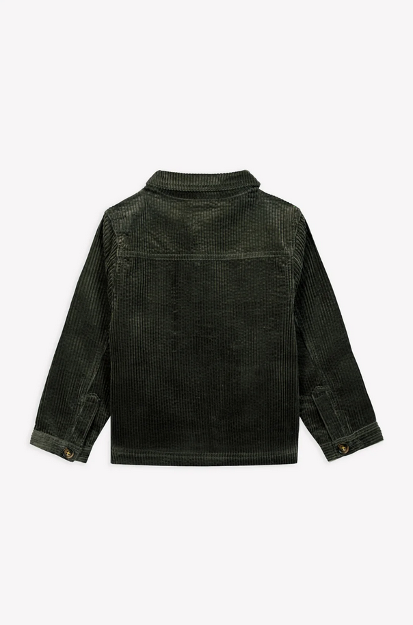 Bonton - Surchemise Pastore