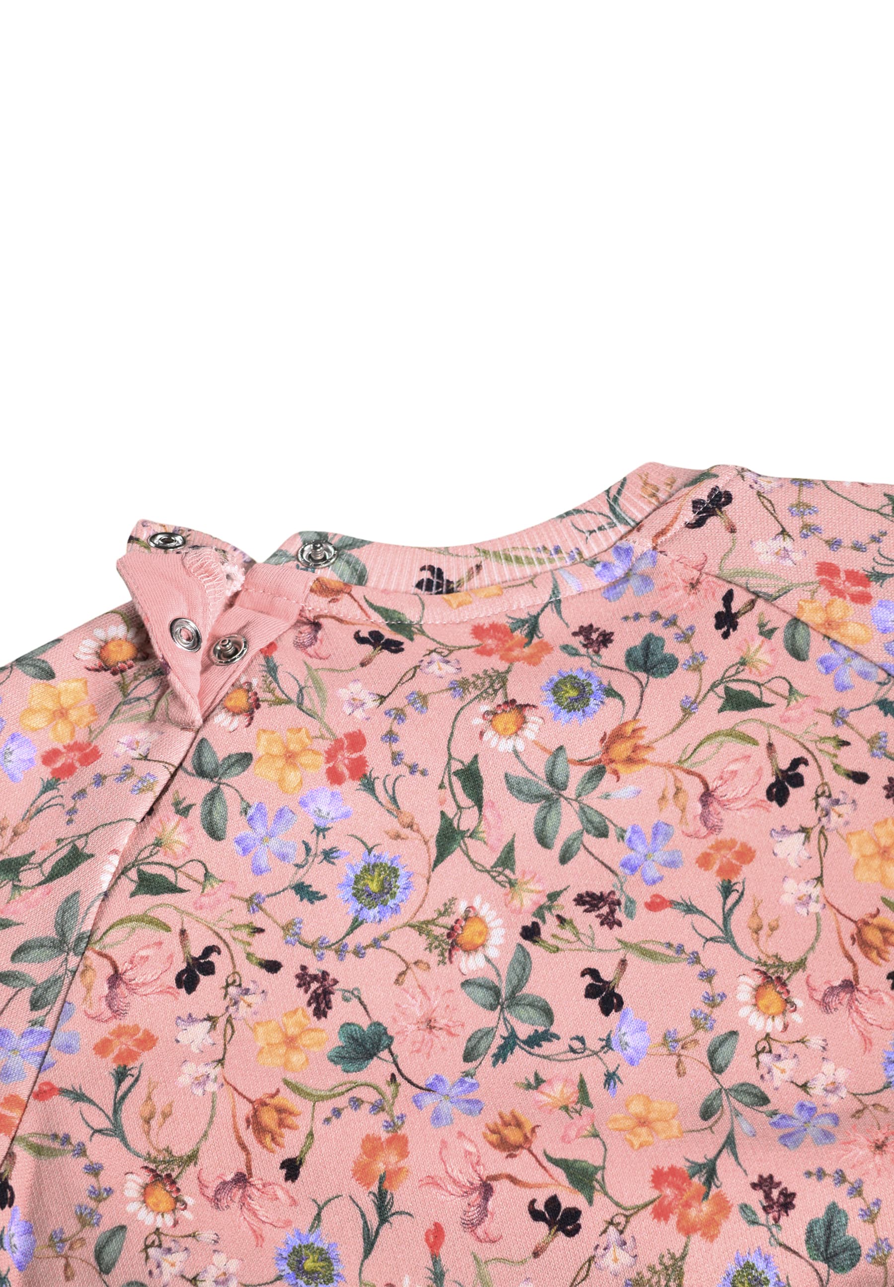 Molo -  Sweatshirt Disc