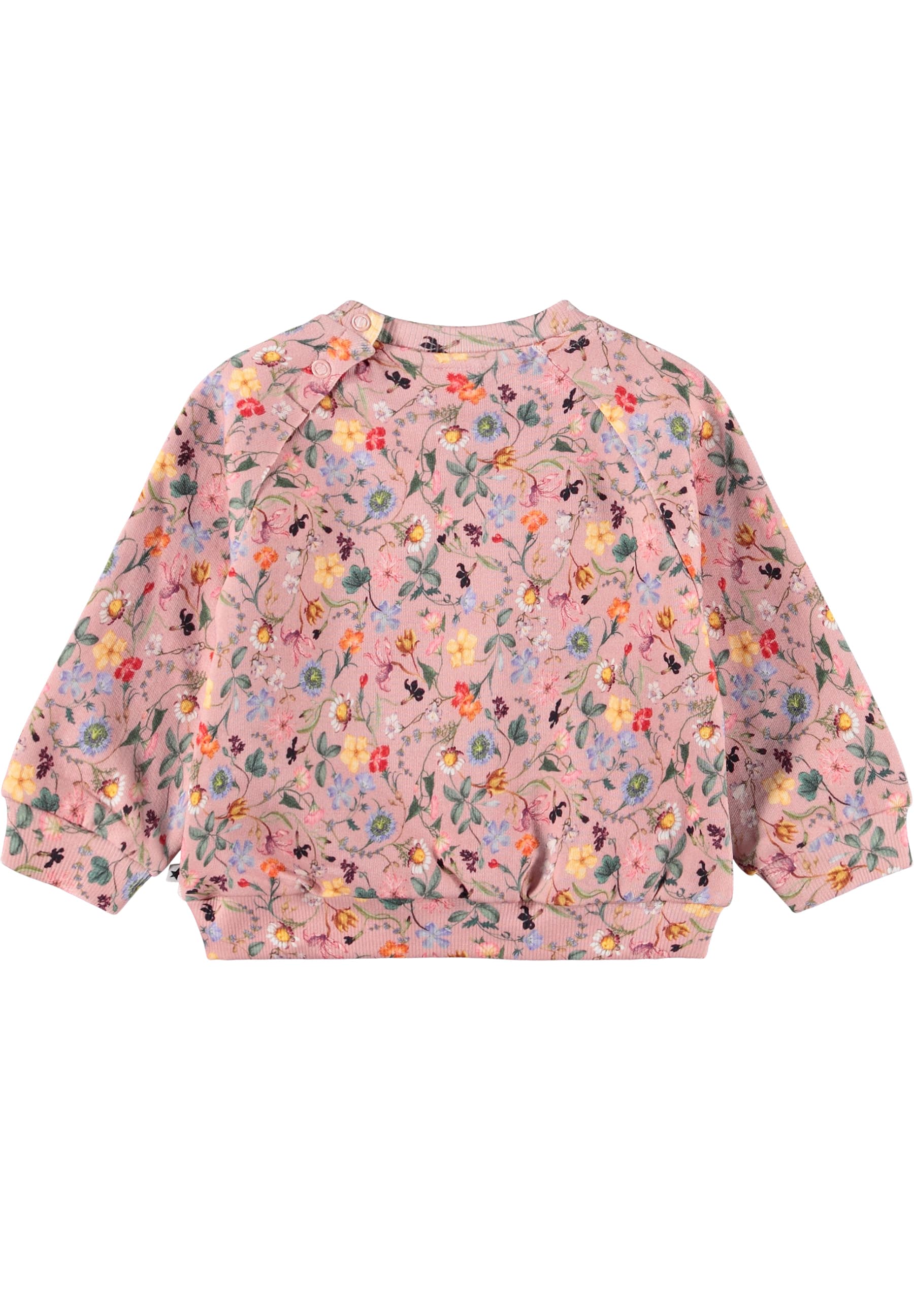 Molo -  Sweatshirt Disc