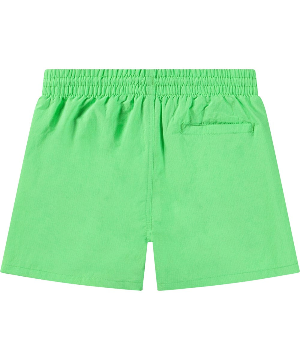 Molo - Short de bain Niko