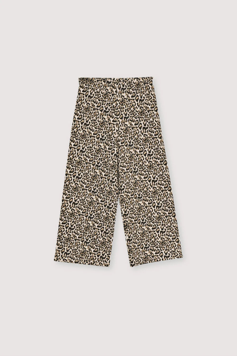 The New Society - TNS Cargo Joggers